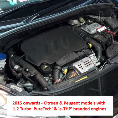 RamAir 1.2 THP & VTI Citroen & Peugeot Black Performance Intake Kit-induction kit-carbonizeduk